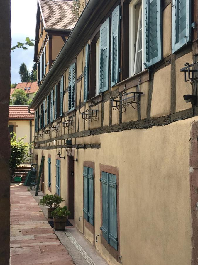 Le Gite Du Moulin Ribeauvillé Екстериор снимка