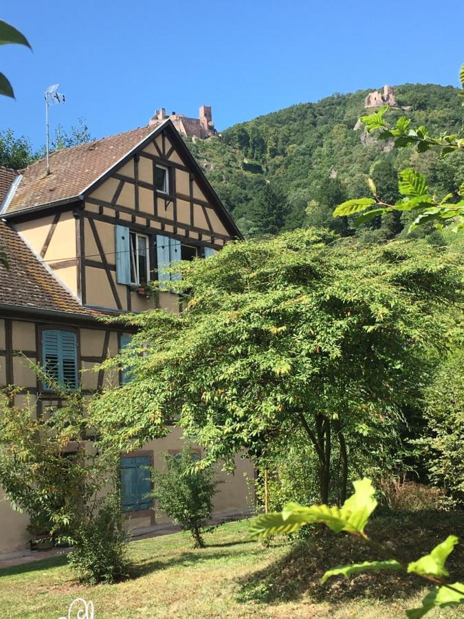 Le Gite Du Moulin Ribeauvillé Екстериор снимка