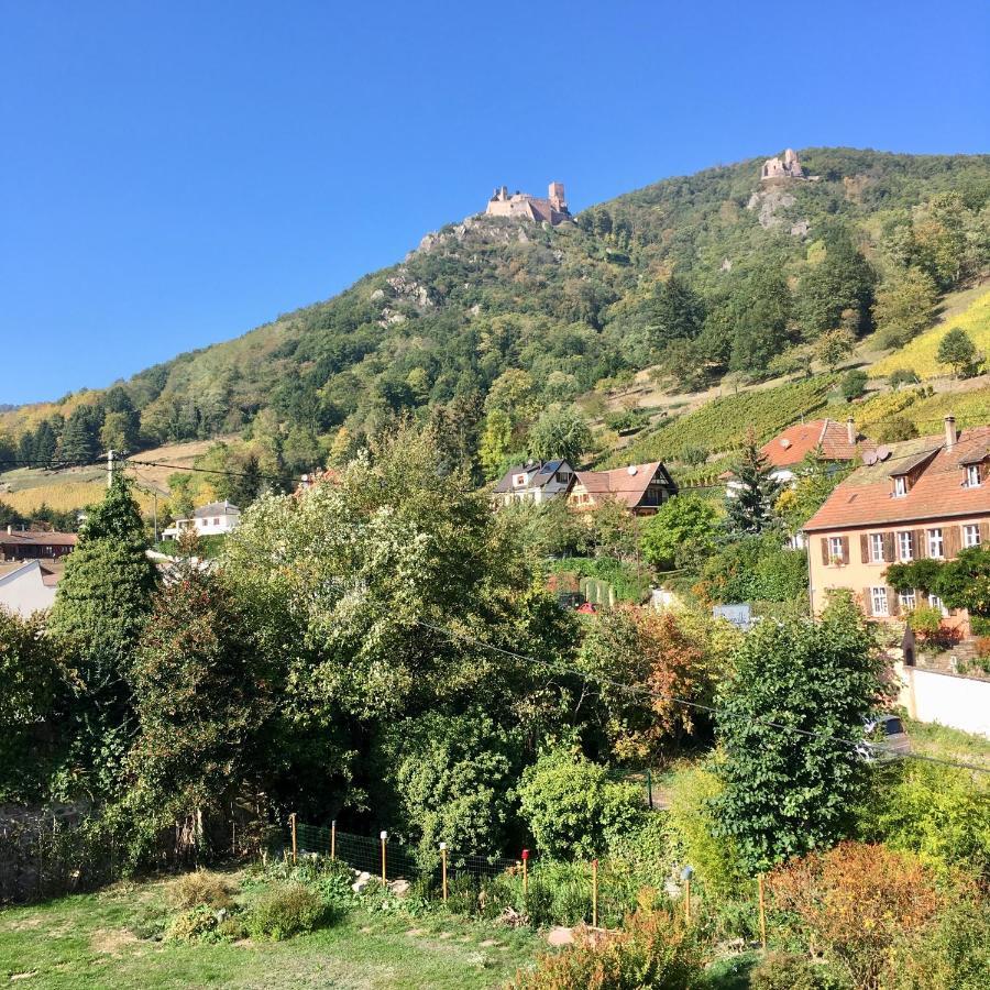 Le Gite Du Moulin Ribeauvillé Екстериор снимка